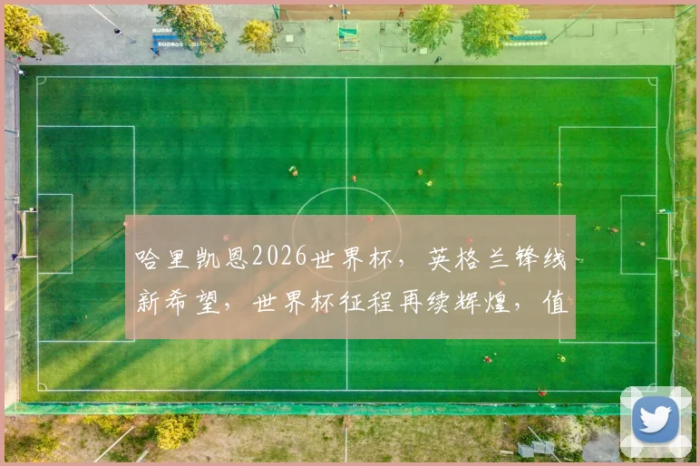 哈里凯恩2026世界杯，英格兰锋线新希望，世界杯征程再续辉煌，值得关注